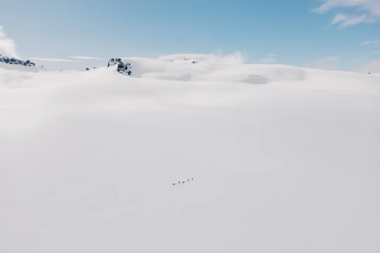 A drone shot an expedition across an icefield