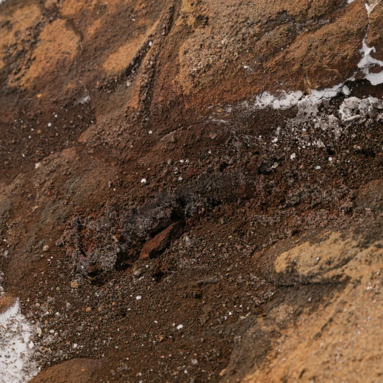 Vulcano earth closeup